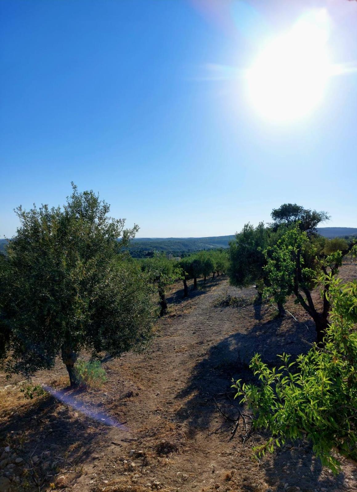 "Bnb Noto" - Charming Tiny House Esterno foto