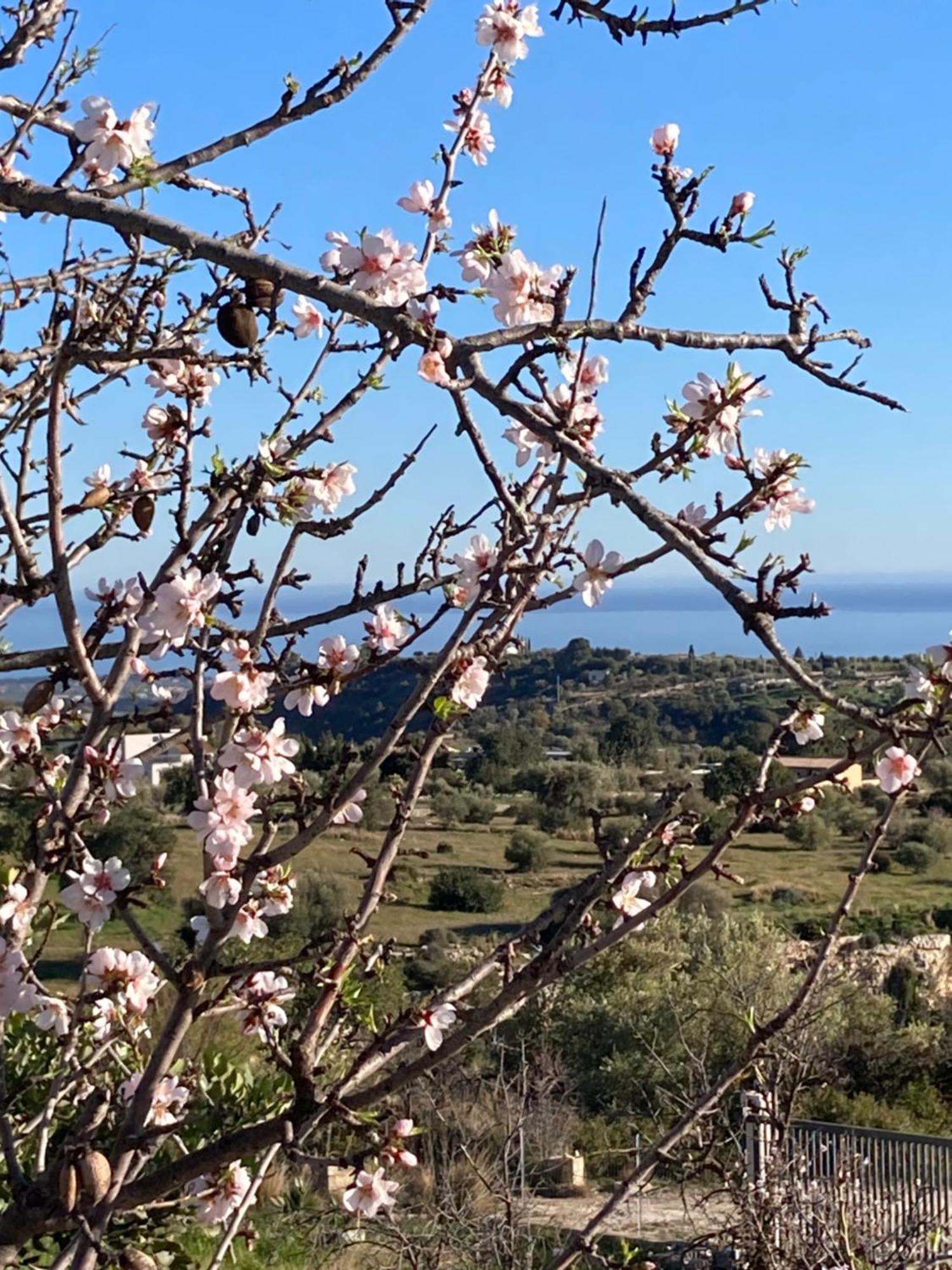 "Bnb Noto" - Charming Tiny House Esterno foto